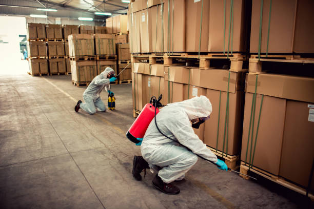 Best Cockroach Control Services  in Malvern, AR