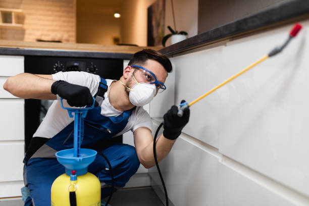 Best Rat Extermination Near Me  in Malvern, AR