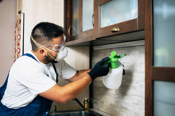 Best Ant Control Services  in Malvern, AR