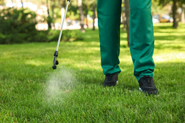 Best Affordable Pest Control Services  in Malvern, AR