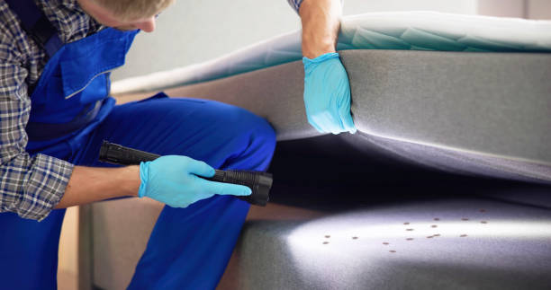 Best Mosquito Control Services  in Malvern, AR