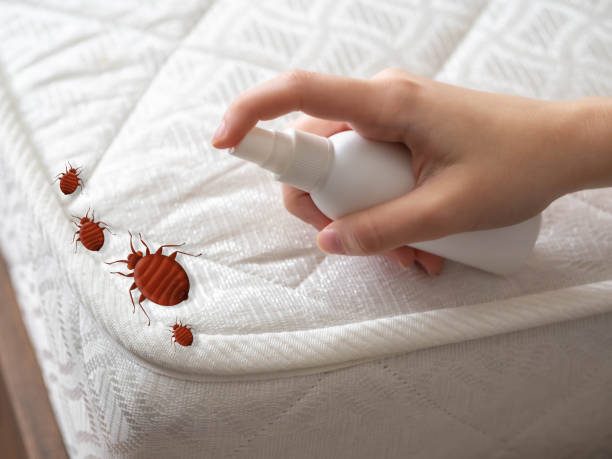 Trusted Malvern, AR Pest Control Experts