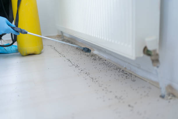 Best Best Pest Control Companies  in Malvern, AR