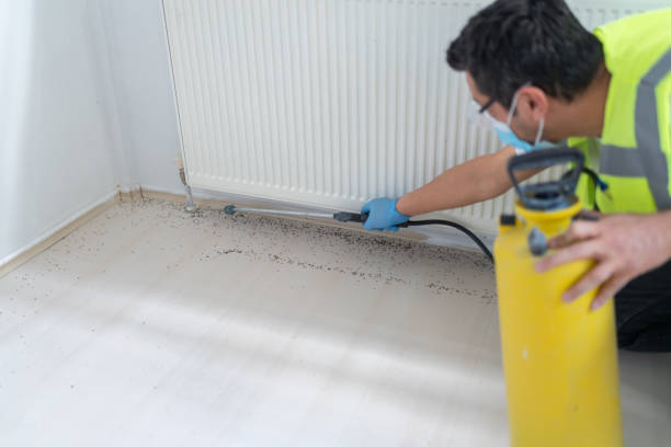 Best Emergency Pest Control  in Malvern, AR