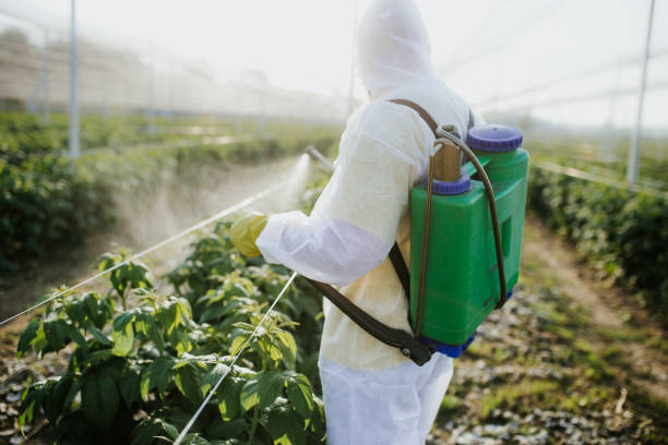 Best Exterminator Services  in Malvern, AR